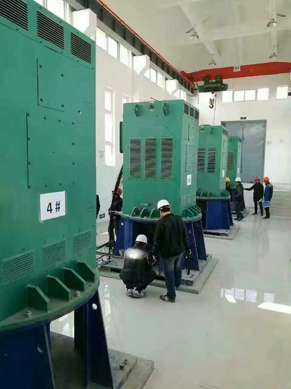 Y5601-2某污水处理厂使用我厂的立式高压电机安装现场