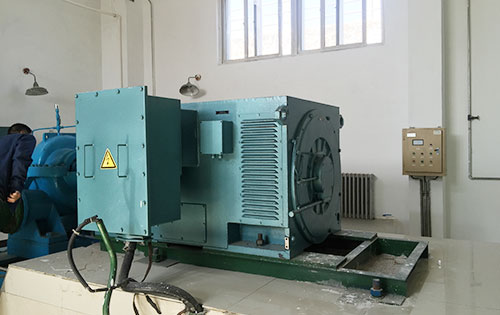 Y5601-2某水电站工程主水泵使用我公司高压电机