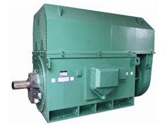 Y5601-2Y系列6KV高压电机